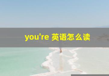 you're 英语怎么读